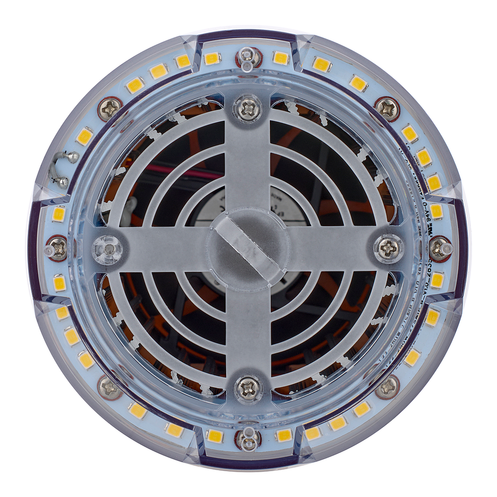 RoBust LED Corn Ballon 250W Switch IP65